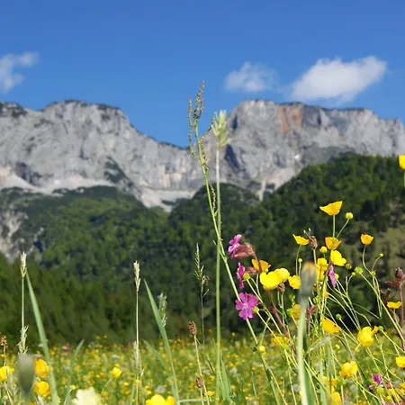 Untersberg Отель 4*