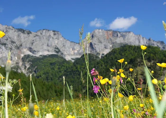 Untersberg Otel 4*